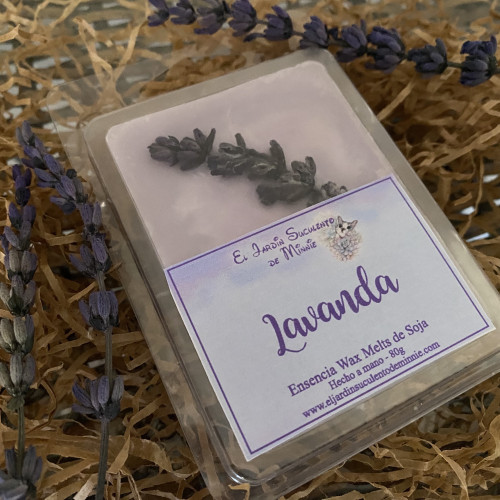 Wax Block Lavanda