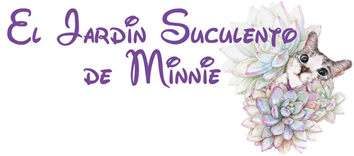 El Jardín Suculento de Minnie